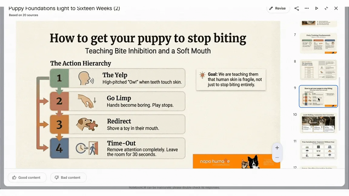 改訂後のスライド資料。タイトルが「Puppy Foundations Eight to Sixteen Weeks (2)」という別の資料になり、9枚目の見出しが指示どおり「How to get your puppy to stop biting」に変わっている